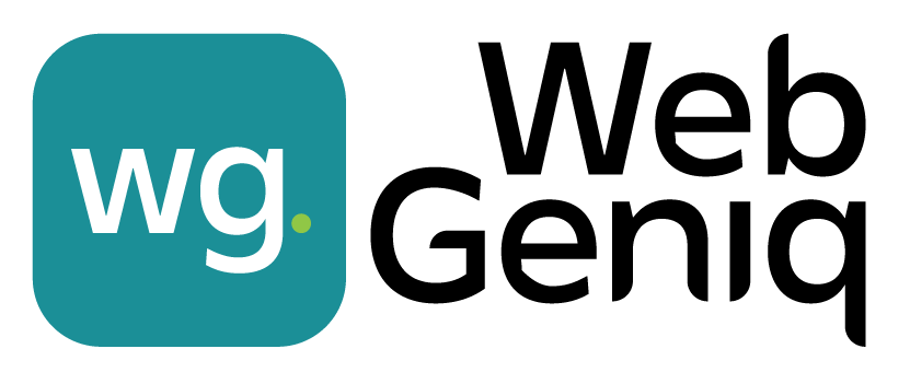 WEBGENIQ LLC